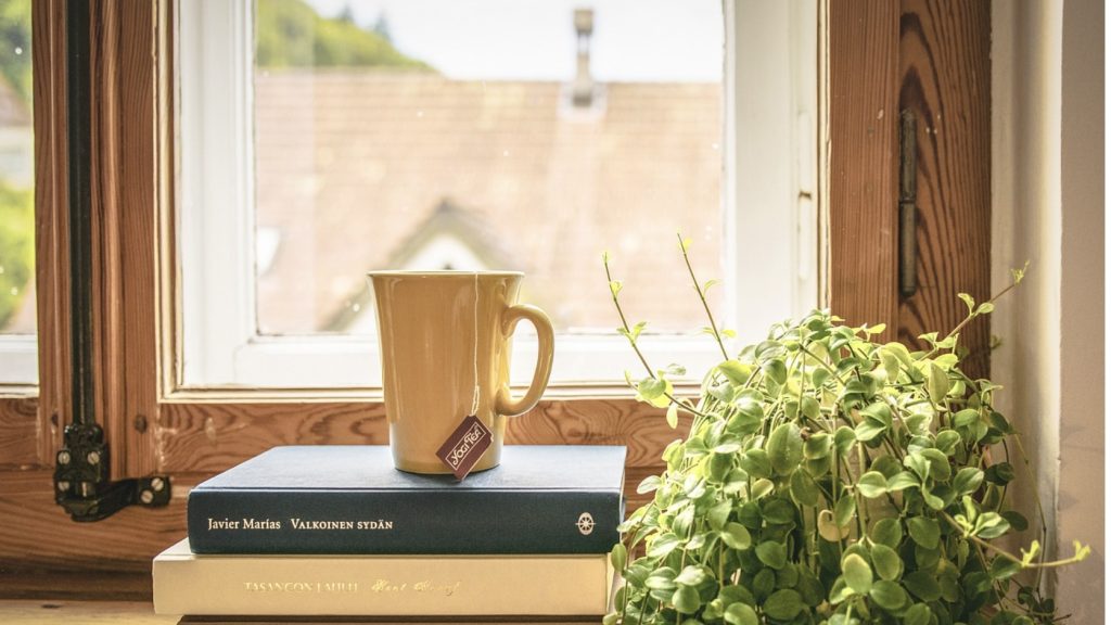 観葉植物いろはのい