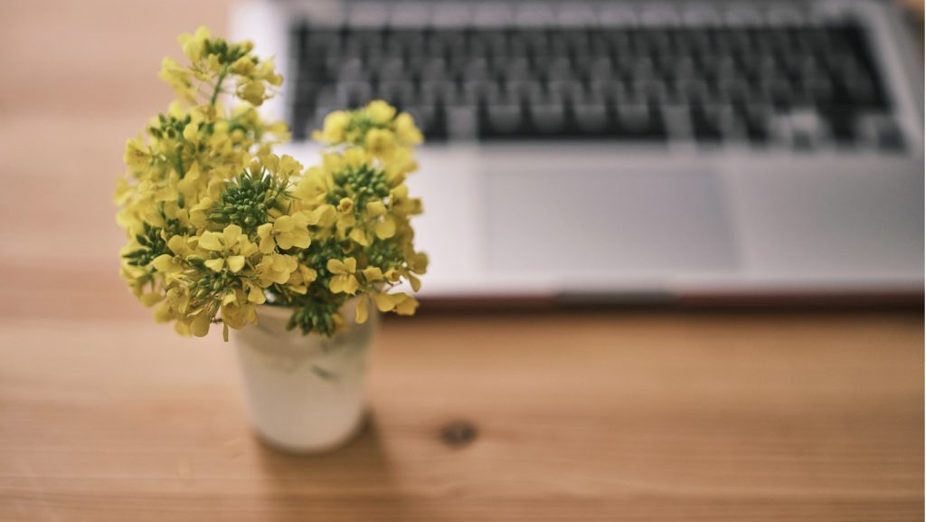 観葉植物いろはのい