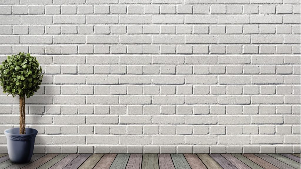 観葉植物いろはのい